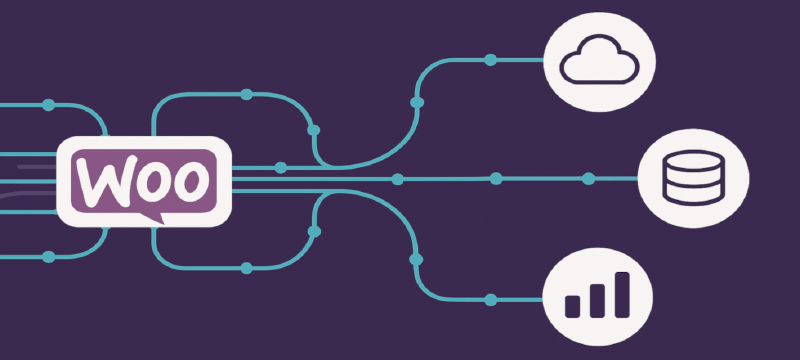 Featured image of post Building a Custom WooCommerce REST API Endpoint for Advanced Data Integration