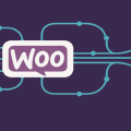 Building a Custom WooCommerce REST API Endpoint for Advanced Data Integration